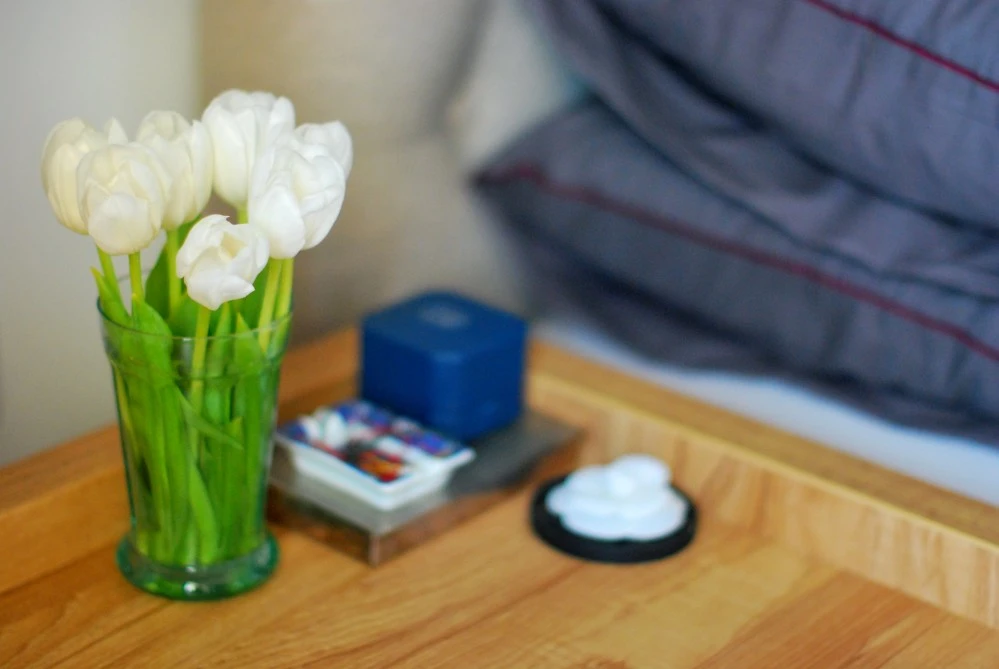 Hướng dẫn 5 c&#225;ch cắm hoa rực rỡ m&#249;a xu&#226;n