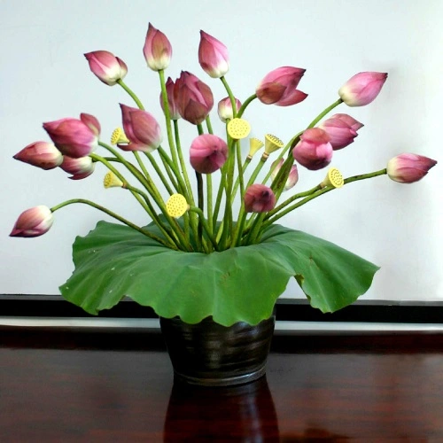 C&#225;c kiểu cắm hoa sen đơn giản ch&#224;o th&#225;ng 6 rực rỡ