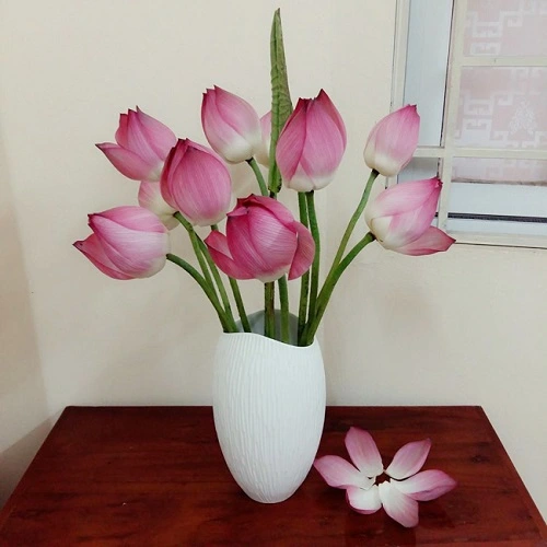 C&#225;c kiểu cắm hoa sen đơn giản ch&#224;o th&#225;ng 6 rực rỡ