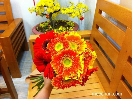 C&#225;ch b&#243; hoa đồng tiền đơn giản tặng sinh nhật bạn