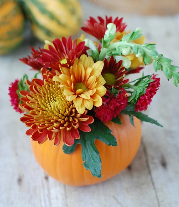 C&#225;ch cắm hoa độc đ&#225;o với quả b&#237; ng&#244; trang tr&#237; ng&#224;y Halloween