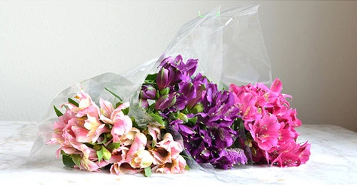 C&#225;ch cắm hoa lily để b&#224;n cực đơn giản chỉ trong 3 ph&#250;t