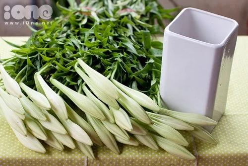 C&#225;ch cắm hoa loa k&#232;n tinh kh&#244;i ch&#224;o đ&#243;n th&#225;ng 4