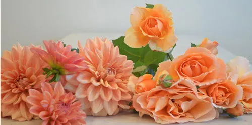C&#225;ch cắm hoa thược dược v&#224; hoa hồng để b&#224;n đẹp