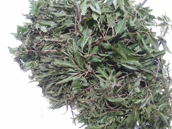 C&#225;ch l&#224;m gối l&#225; đinh lăng cho b&#233; ngủ ngon s&#226;u giấc