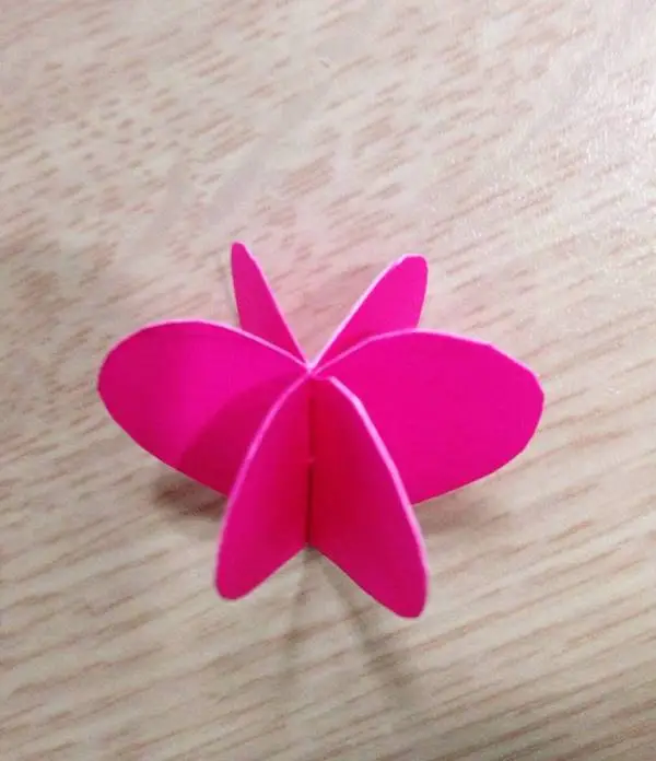 C&#225;ch l&#224;m hoa 3D đẹp m&#234; nh&#236;n 1 lần muốn l&#224;m ngay