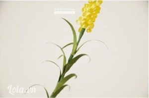 C&#225;ch l&#224;m hoa lavender bằng giấy đơn giản nhất