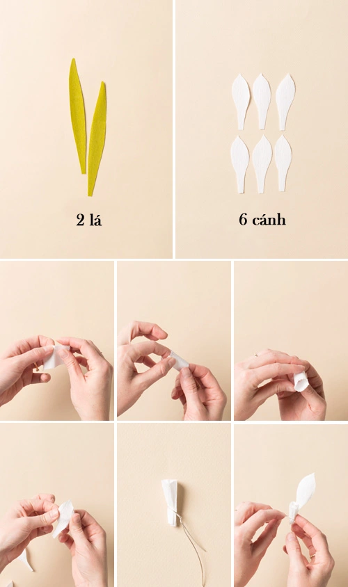 C&#225;ch l&#224;m hoa thủy ti&#234;n bằng giấy nh&#250;n tr&#244;ng như thật