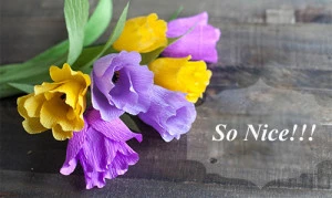 C&#225;ch l&#224;m hoa tulip bằng giấy nh&#250;n trang tr&#237; nh&#224; ng&#224;y Tết