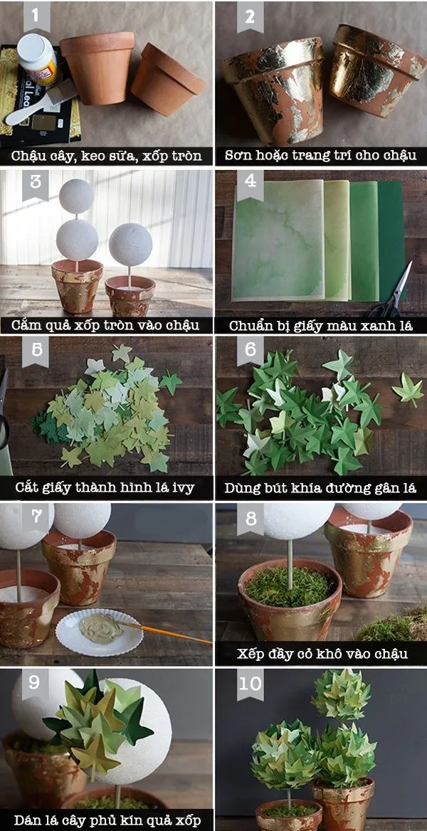 Học c&#225;ch l&#224;m chậu c&#226;y si&#234;u xinh trang tr&#237; nh&#224; đ&#243;n Tết