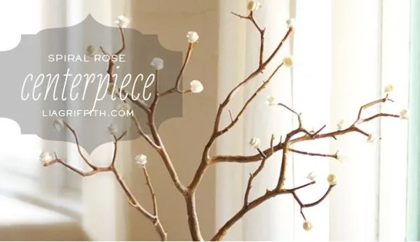 Học c&#225;ch l&#224;m chậu c&#226;y si&#234;u xinh trang tr&#237; nh&#224; đ&#243;n Tết