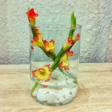 Hướng dẫn 3 c&#225;ch cắm hoa lay ơn đơn giản đẹp nh&#224;