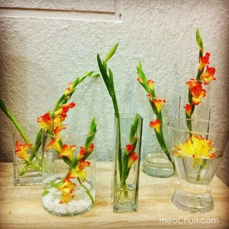 Hướng dẫn 3 c&#225;ch cắm hoa lay ơn đơn giản đẹp nh&#224;