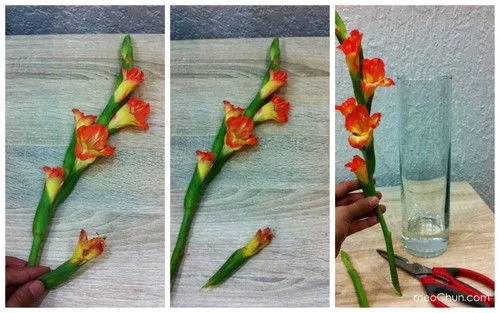 Hướng dẫn 3 c&#225;ch cắm hoa lay ơn đơn giản đẹp nh&#224;