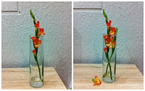 Hướng dẫn 3 c&#225;ch cắm hoa lay ơn đơn giản đẹp nh&#224;