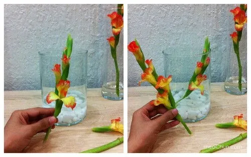 Hướng dẫn 3 c&#225;ch cắm hoa lay ơn đơn giản đẹp nh&#224;