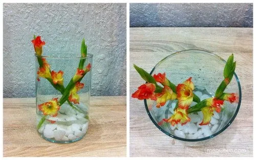 Hướng dẫn 3 c&#225;ch cắm hoa lay ơn đơn giản đẹp nh&#224;