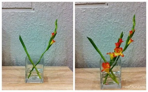 Hướng dẫn 3 c&#225;ch cắm hoa lay ơn đơn giản đẹp nh&#224;
