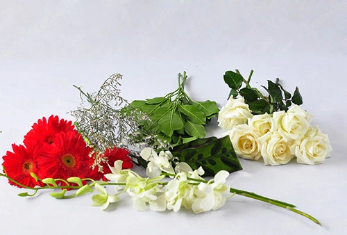 Hướng dẫn c&#225;ch cắm hoa theo nghệ thuật cắm hoa Nhật Bản