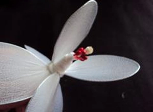 Tự tay l&#224;m hoa tulip lung linh trang tr&#237; ng&#224;y Tết