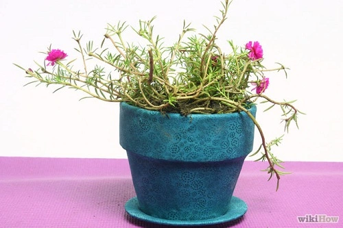 Kh&#233;o tay l&#224;m chậu c&#226;y mini bọc bằng vải bền đẹp