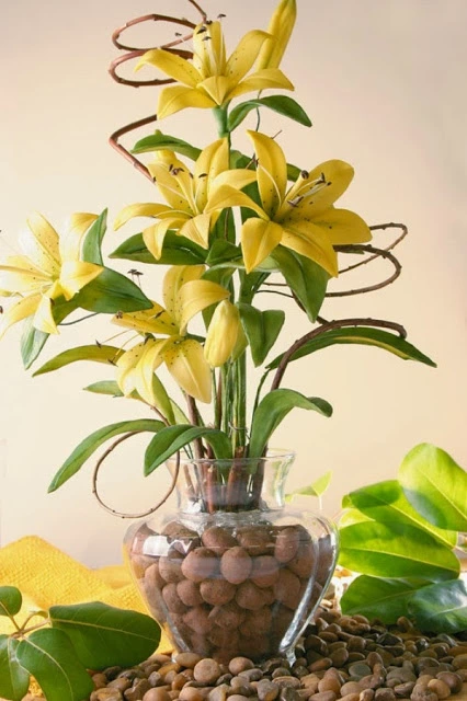 C&#225;ch gấp hoa ly bằng giấy dễ thương nổi bật căn ph&#242;ng