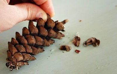 Tự l&#224;m thiệp ch&#250; chim Robin đ&#225;ng y&#234;u đ&#243;n Gi&#225;ng sinh
