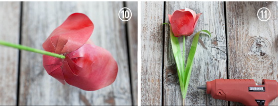 C&#225;ch l&#224;m hoa tulip ấn tượng theo c&#225;ch ri&#234;ng của bạn