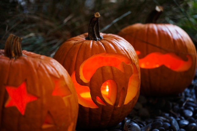 Cắt tỉa b&#237; ng&#244; với h&#236;nh th&#249; ngộ nghĩnh trưng b&#224;y dịp Halloween