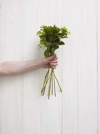 C&#225;ch cắm hoa đơn giản với sự dịu d&#224;ng v&#224; tinh tế