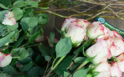 C&#225;ch cắm hoa hồng ng&#224;y Valentine tuyệt đẹp tặng nửa kia