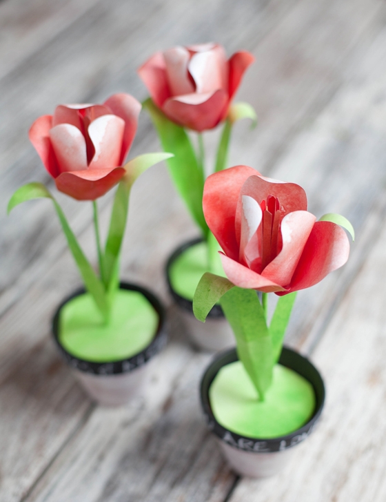 C&#225;ch l&#224;m hoa tulip ấn tượng theo c&#225;ch ri&#234;ng của bạn