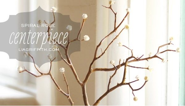 Học c&#225;ch l&#224;m chậu c&#226;y si&#234;u xinh trang tr&#237; nh&#224; đ&#243;n Tết