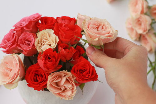 Hướng dẫn c&#225;ch cắm hoa hồng để b&#224;n với b&#236;nh tr&#242;n