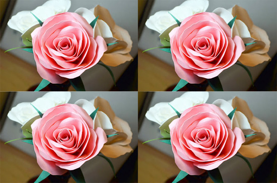 Kh&#233;o tay l&#224;m hoa hồng bằng giấy đẹp y như thật