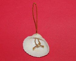 L&#224;m thi&#234;n thần vỏ s&#242; xinh xắn trang tr&#237; c&#226;y th&#244;ng Noel