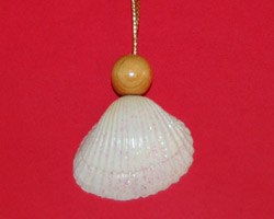 L&#224;m thi&#234;n thần vỏ s&#242; xinh xắn trang tr&#237; c&#226;y th&#244;ng Noel
