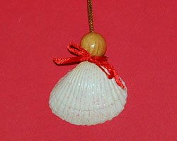 L&#224;m thi&#234;n thần vỏ s&#242; xinh xắn trang tr&#237; c&#226;y th&#244;ng Noel