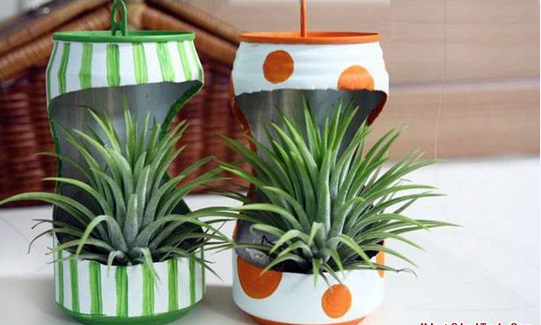 Nhặt nhạnh vỏ lon t&#225;i chế th&#224;nh chậu c&#226;y mini