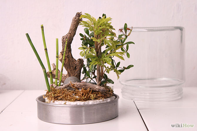 S&#225;ng tạo l&#224;m rừng c&#226;y đầy sức sống trong lọ thủy tinh