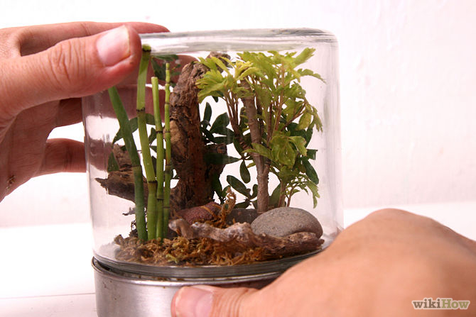 S&#225;ng tạo l&#224;m rừng c&#226;y đầy sức sống trong lọ thủy tinh